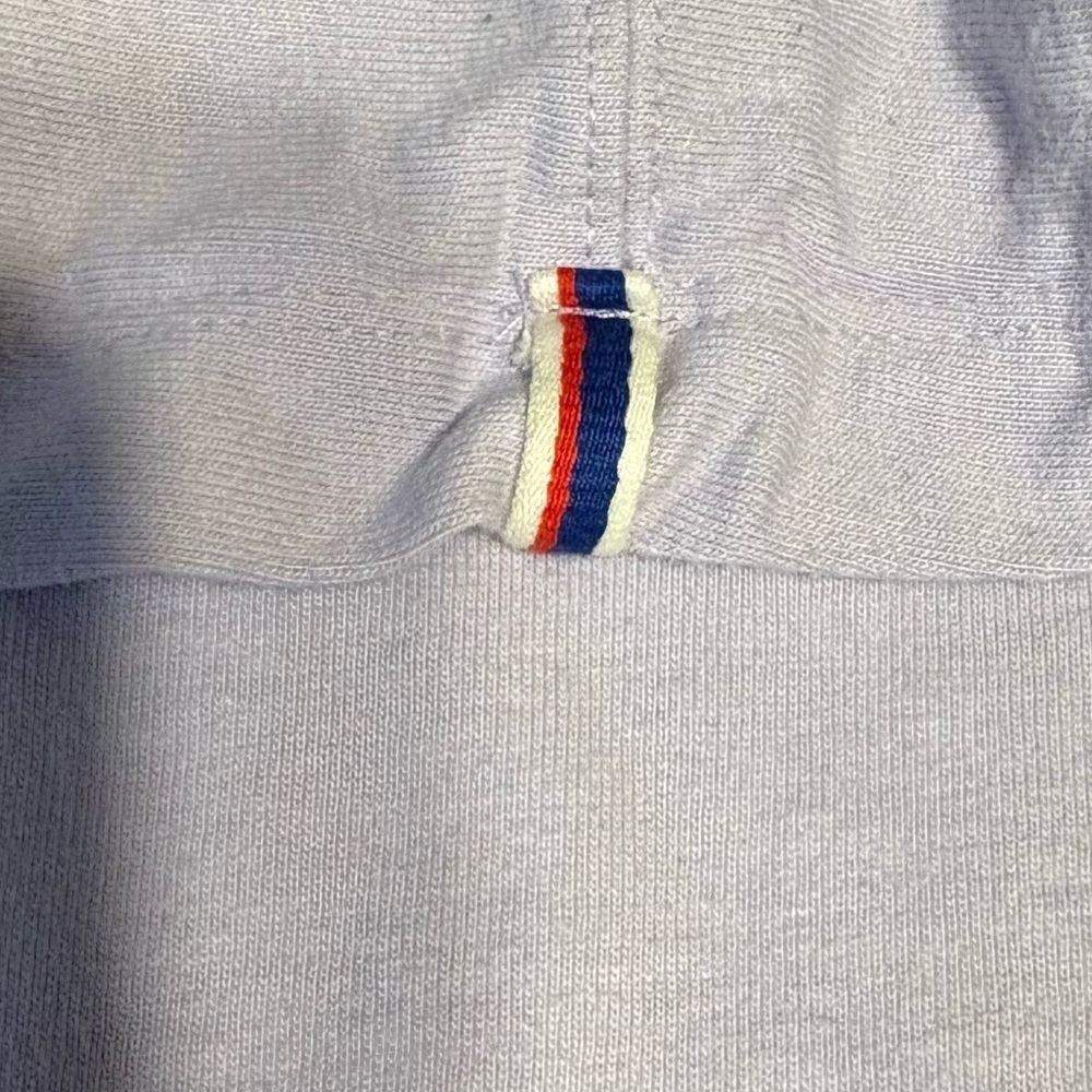 Champion Lavender Hoodie with Multicolor Logo - Picture 6 of 6